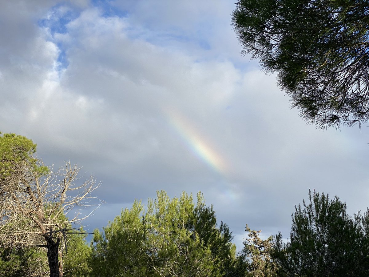 JoseLSaezPastor's tweet photo. #ArcoIris sobre la pinada de #Guardamar, nos pone en aviso por posibles precipitaciones a lo largo del fin de semana. @MeteOrihuela @lasextameteo @ElTiempoes @GuardamarTurism https://t.co/Uf1NJoSral