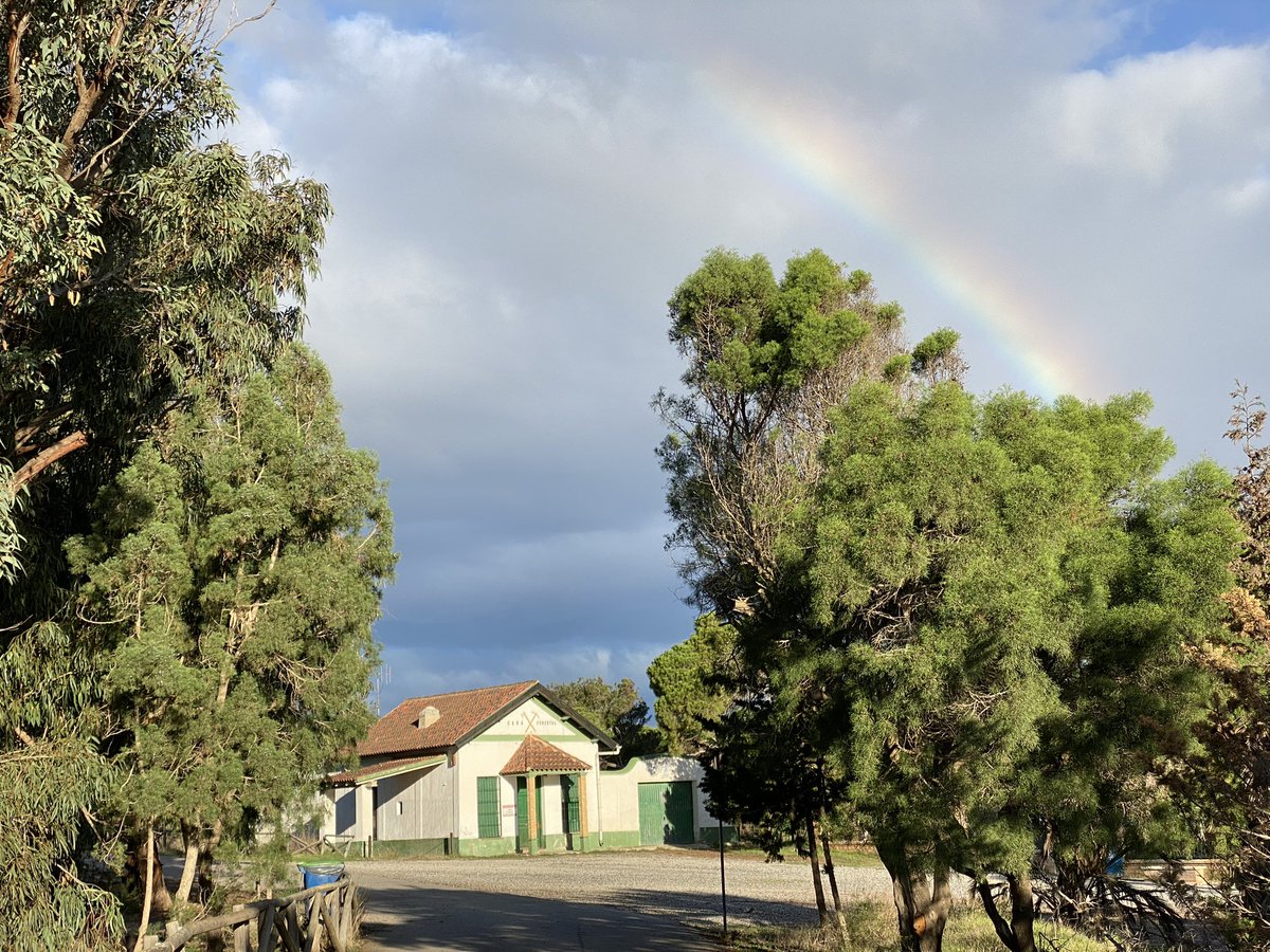JoseLSaezPastor's tweet photo. #ArcoIris sobre la pinada de #Guardamar, nos pone en aviso por posibles precipitaciones a lo largo del fin de semana. @MeteOrihuela @lasextameteo @ElTiempoes @GuardamarTurism https://t.co/Uf1NJoSral