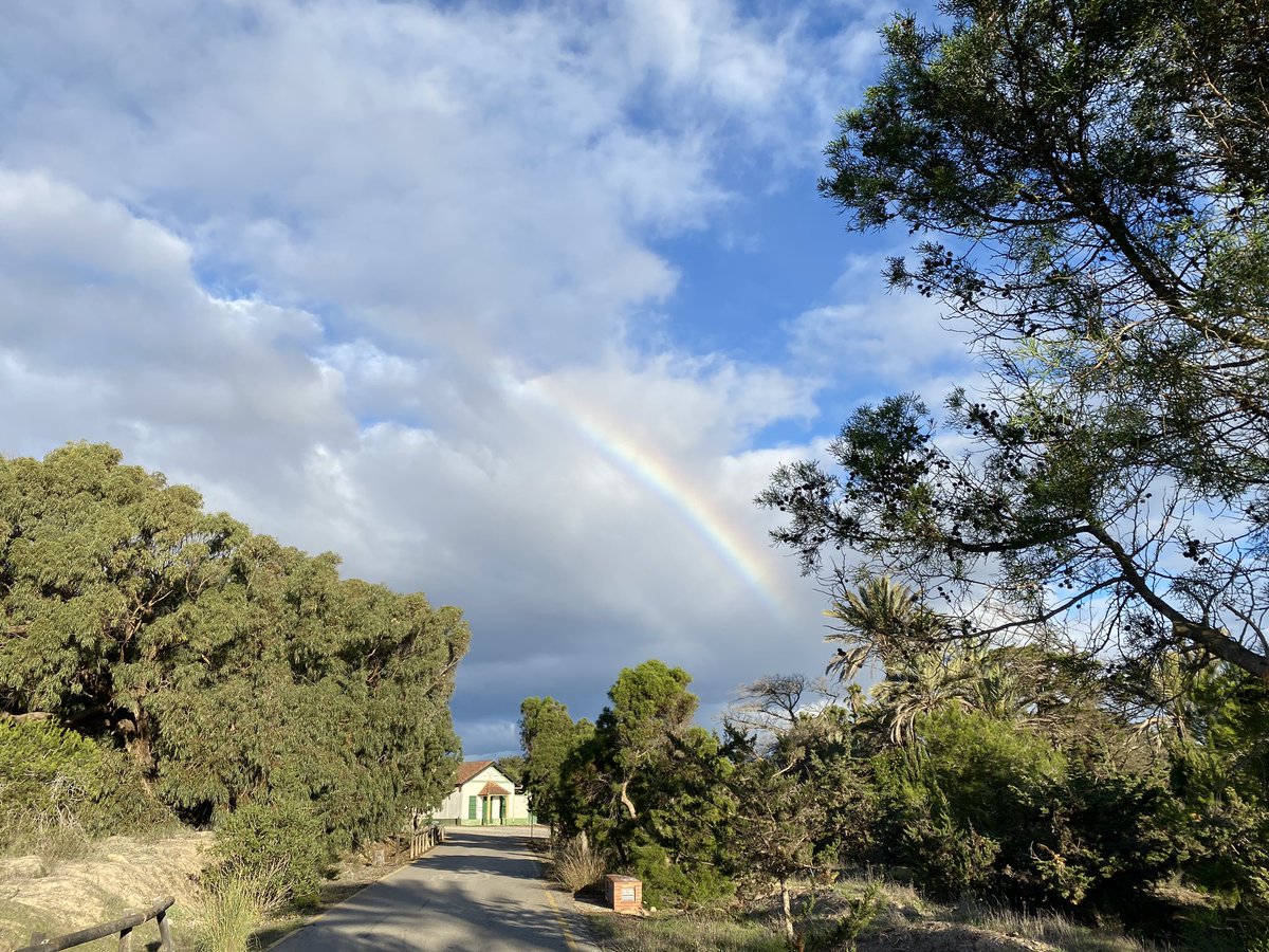 JoseLSaezPastor's tweet photo. #ArcoIris sobre la pinada de #Guardamar, nos pone en aviso por posibles precipitaciones a lo largo del fin de semana. @MeteOrihuela @lasextameteo @ElTiempoes @GuardamarTurism https://t.co/Uf1NJoSral