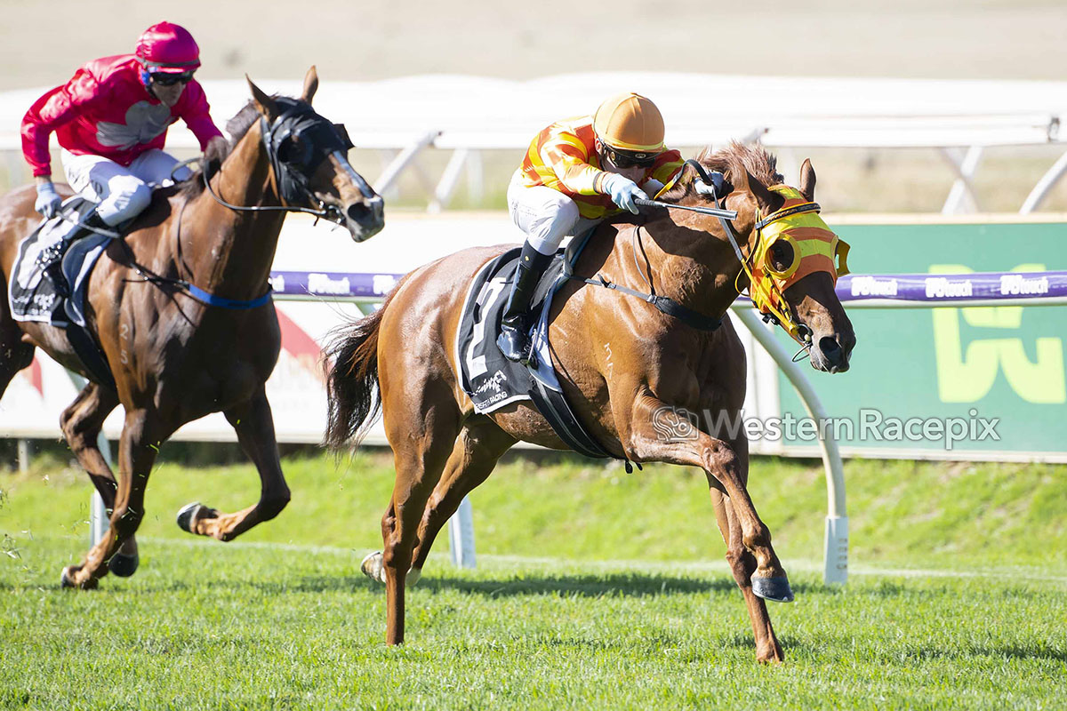 WesternRacepix's tweet photo. BUSTER BASH - 2022 @TAB_touch G.A. Towton Cup (Listed) @PerthRacing #WesternRacepix #ThePinnacles #AscotRacingCarnival

More 📸 https://t.co/XhRFkk00xX https://t.co/0a601snqNM
