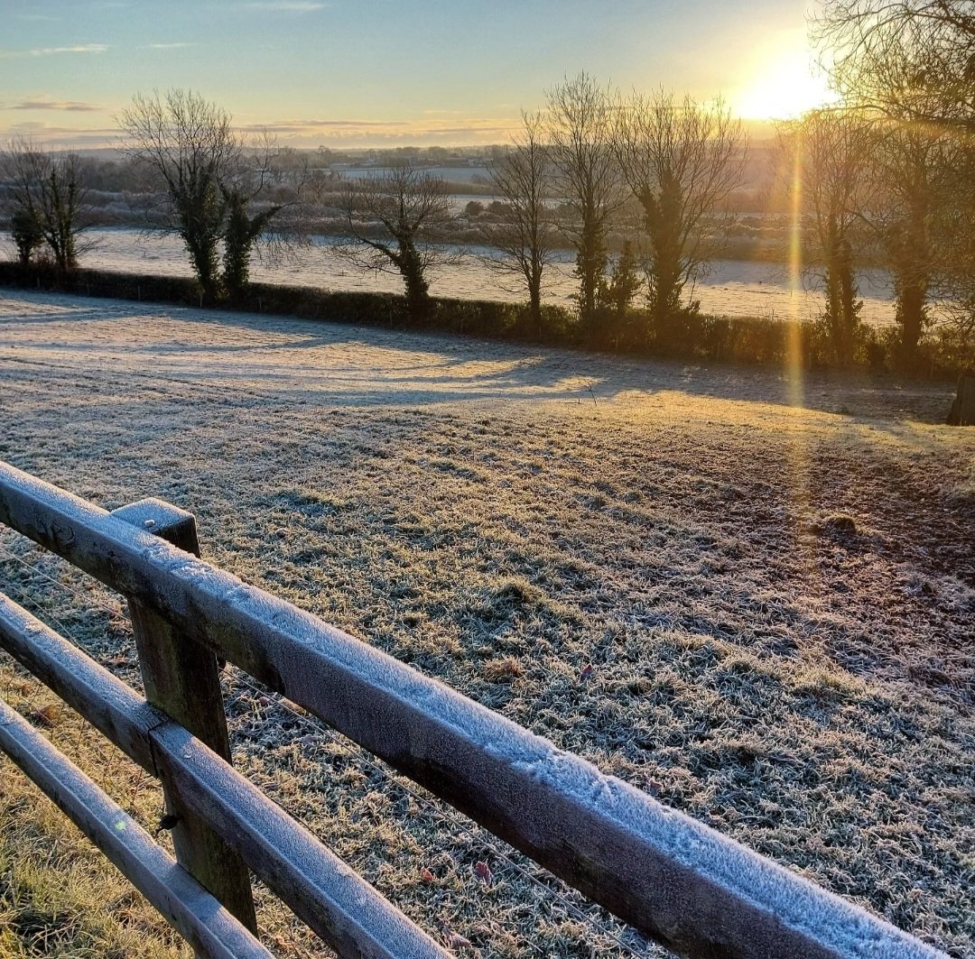 Lovely frosty start in Wexford