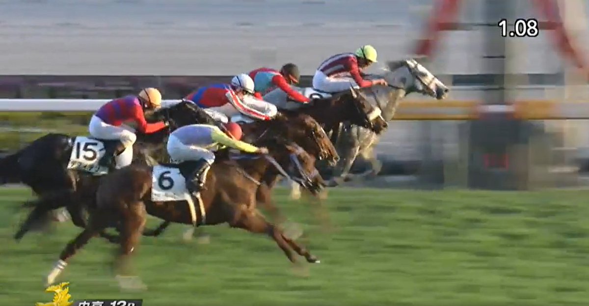 ベンガンは、オルフェーヴル現5歳世代では3頭目の(地)馬の中央勝馬です。他の2頭は、ファンキーゴールドとパワポケプリメーロ。