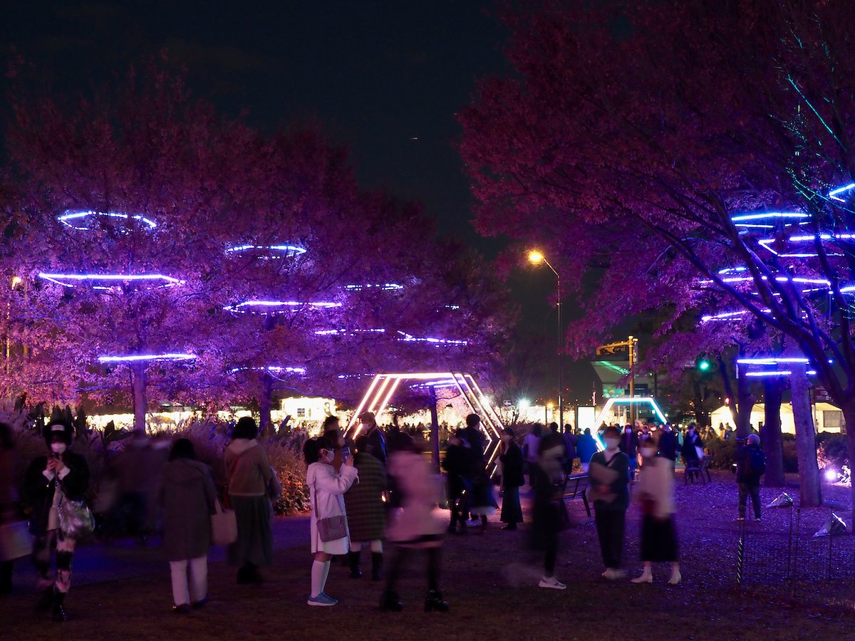 backyard822's tweet photo. ヨルノヨ NIGHT VIEWING in PURPLE✨ (新港中央広場)
#ヨルノヨ #NightViewing #イルミネーション #新港中央広場
https://t.co/MWK2iPYHXr https://t.co/MONZXvtmHj https://t.co/Nr4FHyXqO8 https://t.co/lslfCmes9e https://t.co/cDgisWve4N https://t.co/5MetrQsvNZ https://t.co/yNmD0vP7RL