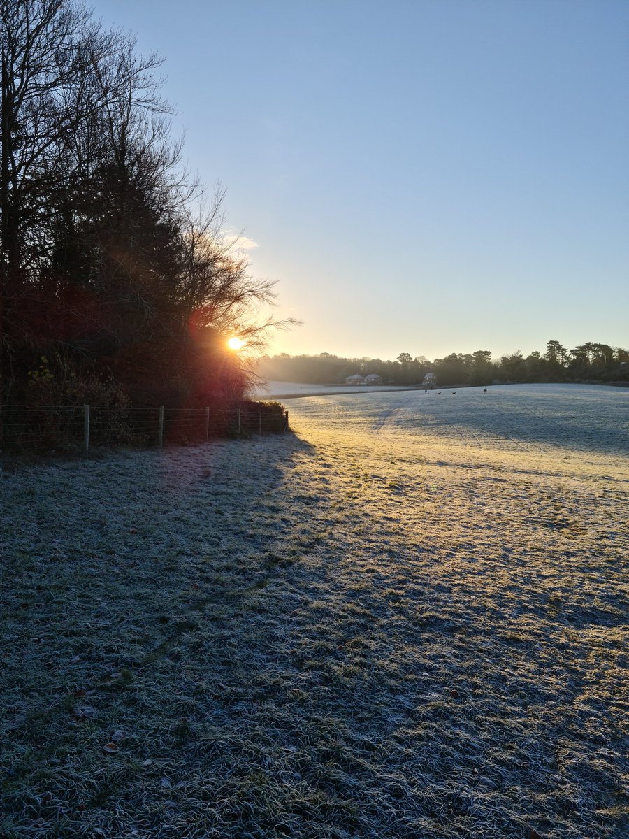 davidgrasty's tweet photo. What a beautiful frosty morning! https://t.co/D7dj1LNAky