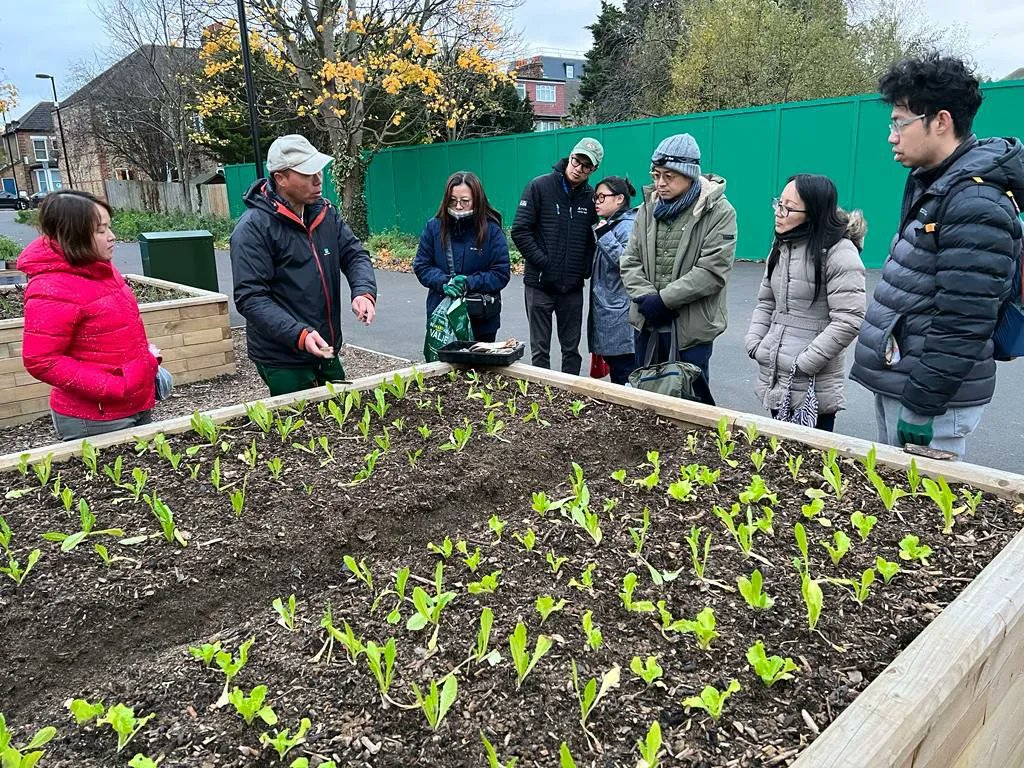 nm_partnership's tweet photo. Welcome to  the NMTCP "Co Growers" working with Aulaw Organic Farm, we look forward to harvesting the veg grown for a "farm to table" event for the whole community to enjoy later in the year. #communitygarden #urbanfarm #choysum #pakchoy #HongKong #NMTCP https://t.co/7KcSxEG6nj