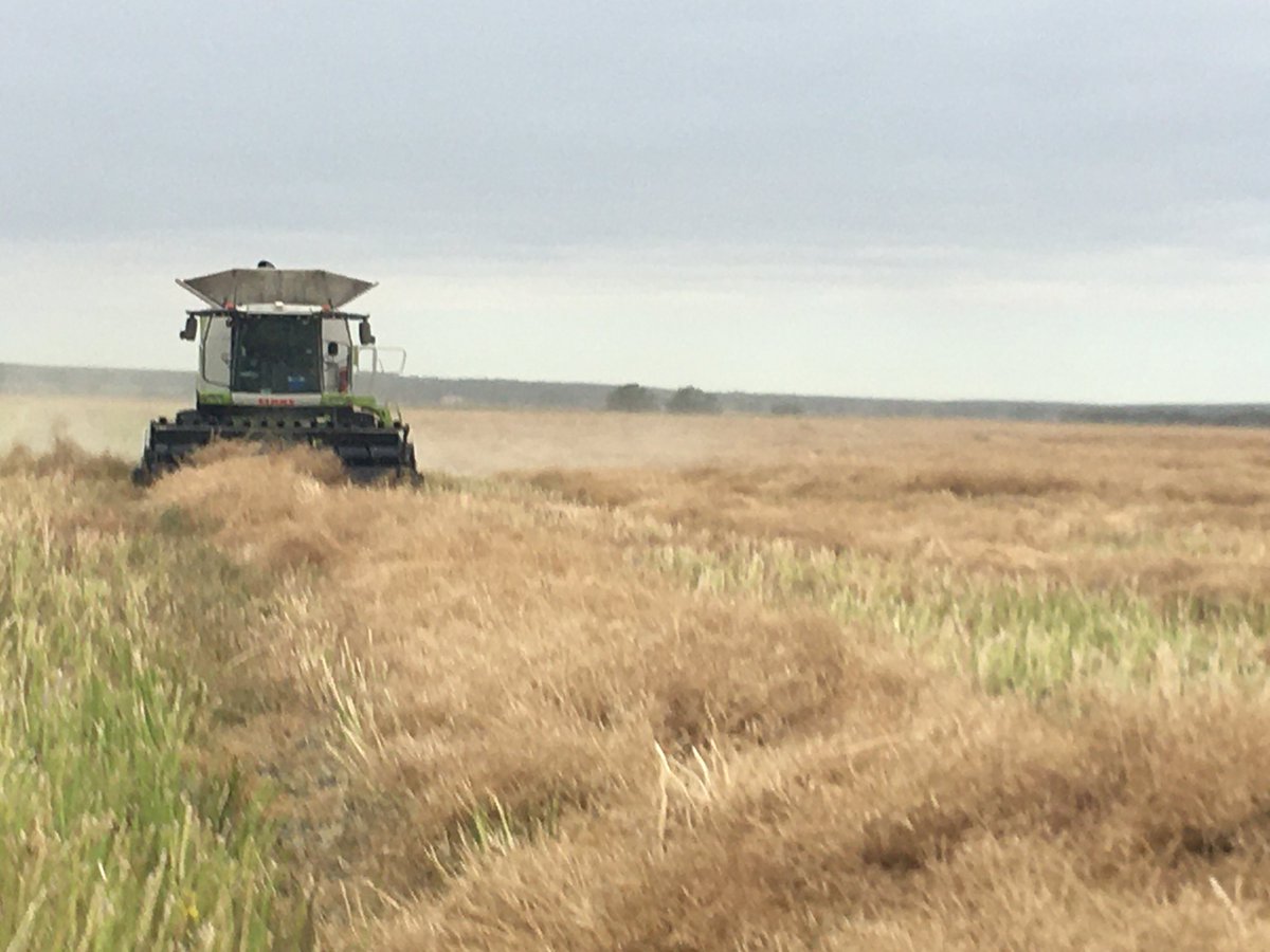 🤔 Does half a box count as a start, 💦💦