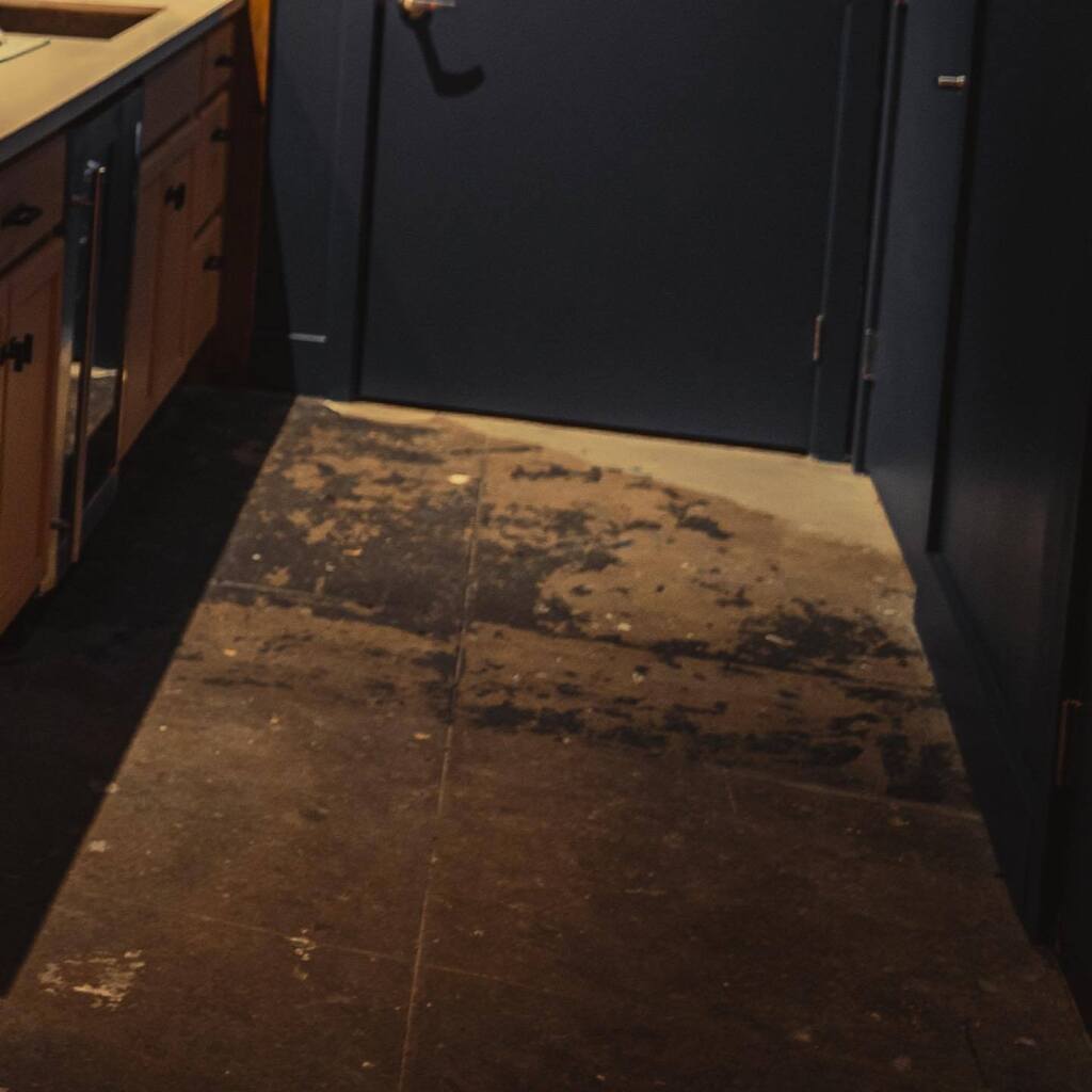 Portia Street Studios tweet media