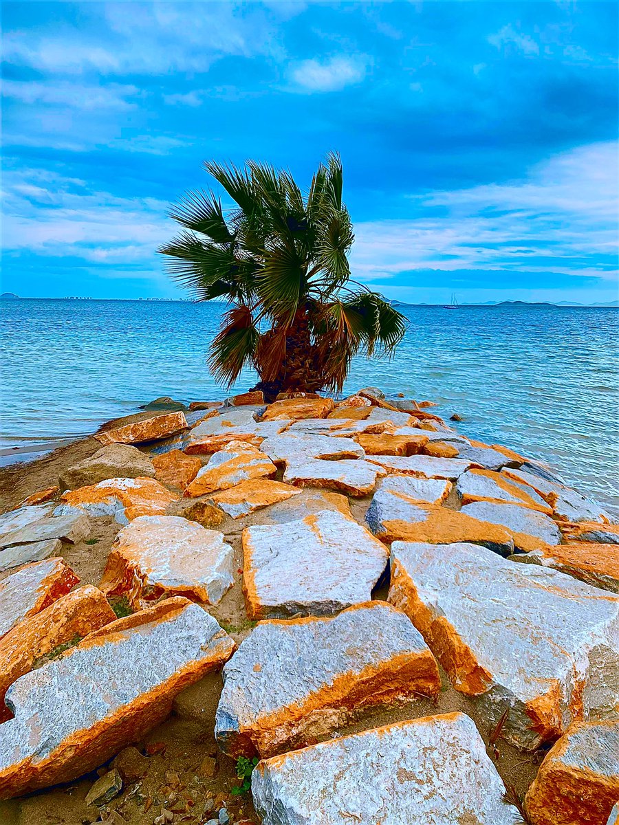 az_eMesi's tweet photo. Yesterday moment 🌥️🌩️🌤️ #sea #palmtreealone #alone #Stones #clouds #nature #beautiful https://t.co/TrbkihwEAn