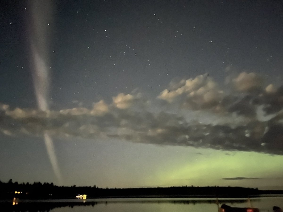 Last summer I saw similar in the caribou