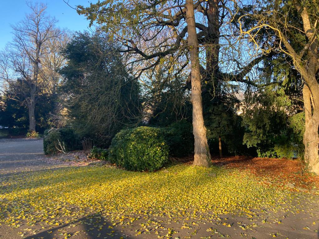 Another stunning day in Sydney Gardens.
#fosydneygardens #sydneygardens #bathwick #bathmums #visitbath #holburnemuseum #bathparks #bathnesparks #foxgloveforestschoolbath