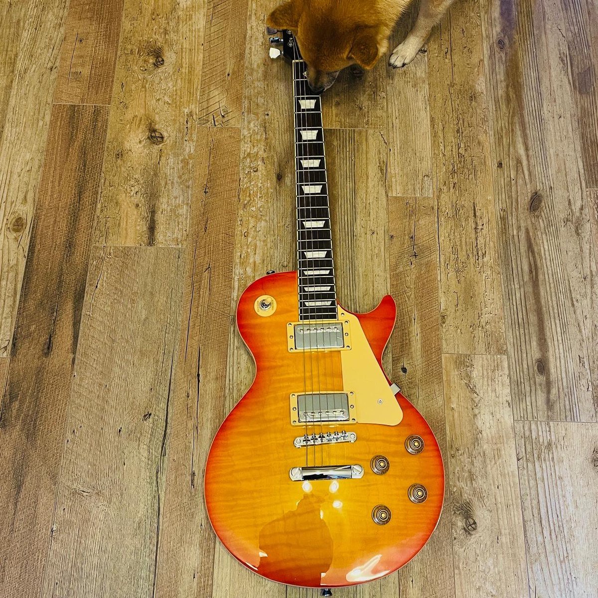 rsroger555's tweet image. 今回のお買い物
プレイテックが普通に使える😳
#サウンドハウス 
#プレイテックギター 
#beta58