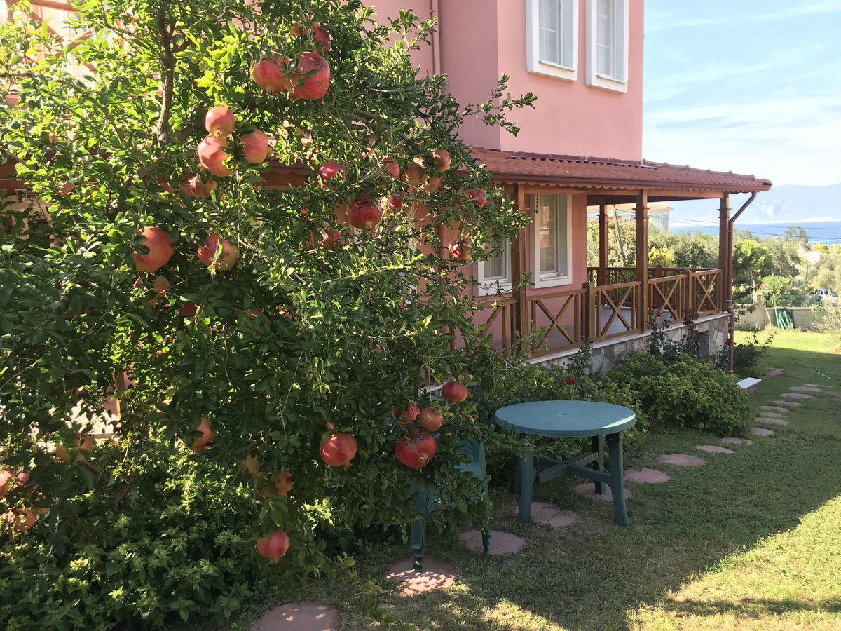 hbasrihatipoglu's tweet photo. İnsan bazen yaşadığı hayattan uzaklaşarak daha farklı yerlere gider. Gittiği bu yerlerde çalışır, eğlenir ya da gezerek vakit geçirir. Fakat tüm bunlar sona erdiğinde önünde sonunda yine geri döner. Dön dolaş gelecek olduğun yer Memleket Ne yaparsan yap güzelliklerden ayrılma https://t.co/G0BCJdLQnT