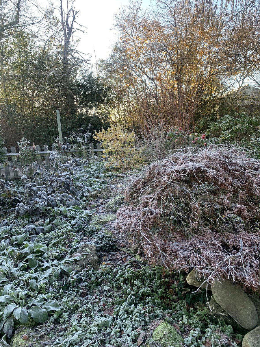 Sue Atkins 👶🏽👧📱🎧📚 tweet media