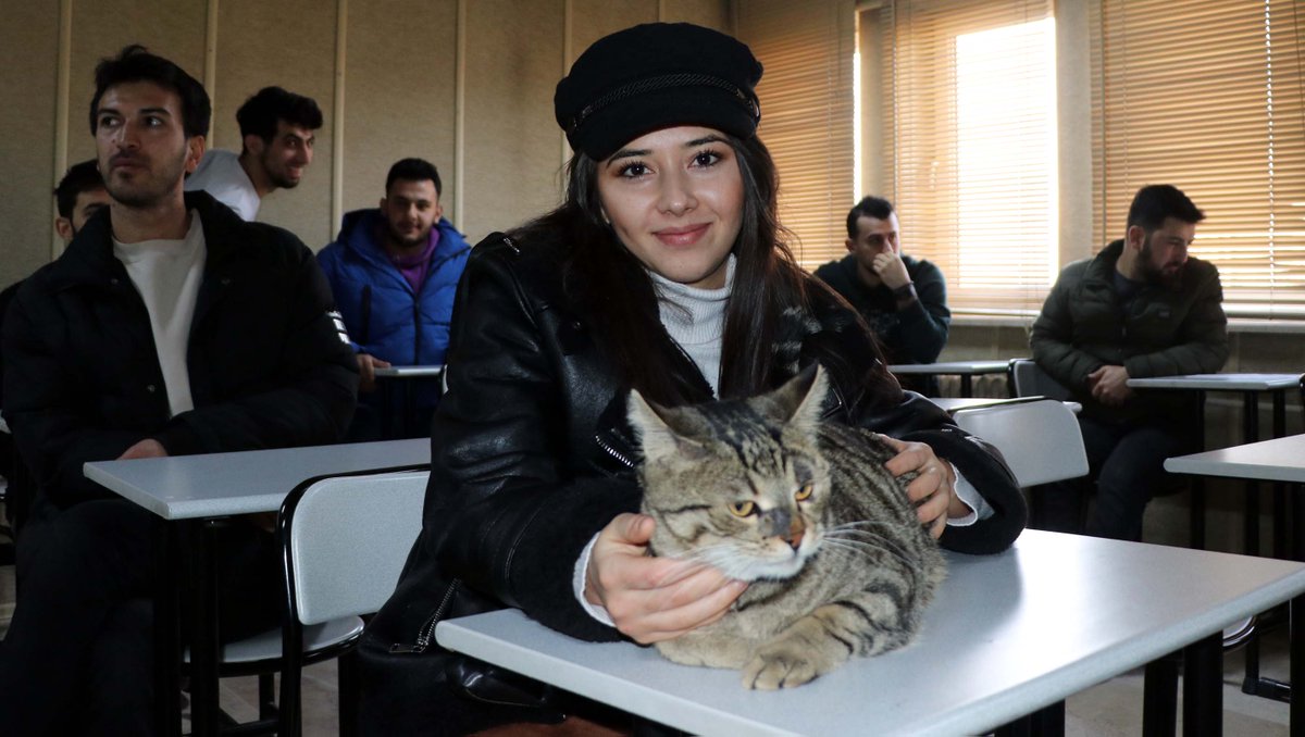 dhainternet's tweet photo. 4 yıl önce yaralı bulunan Tigyy, fakültenin maskotu oldu
https://t.co/pRPw2ZDqJp https://t.co/VgXZ2hi7HH