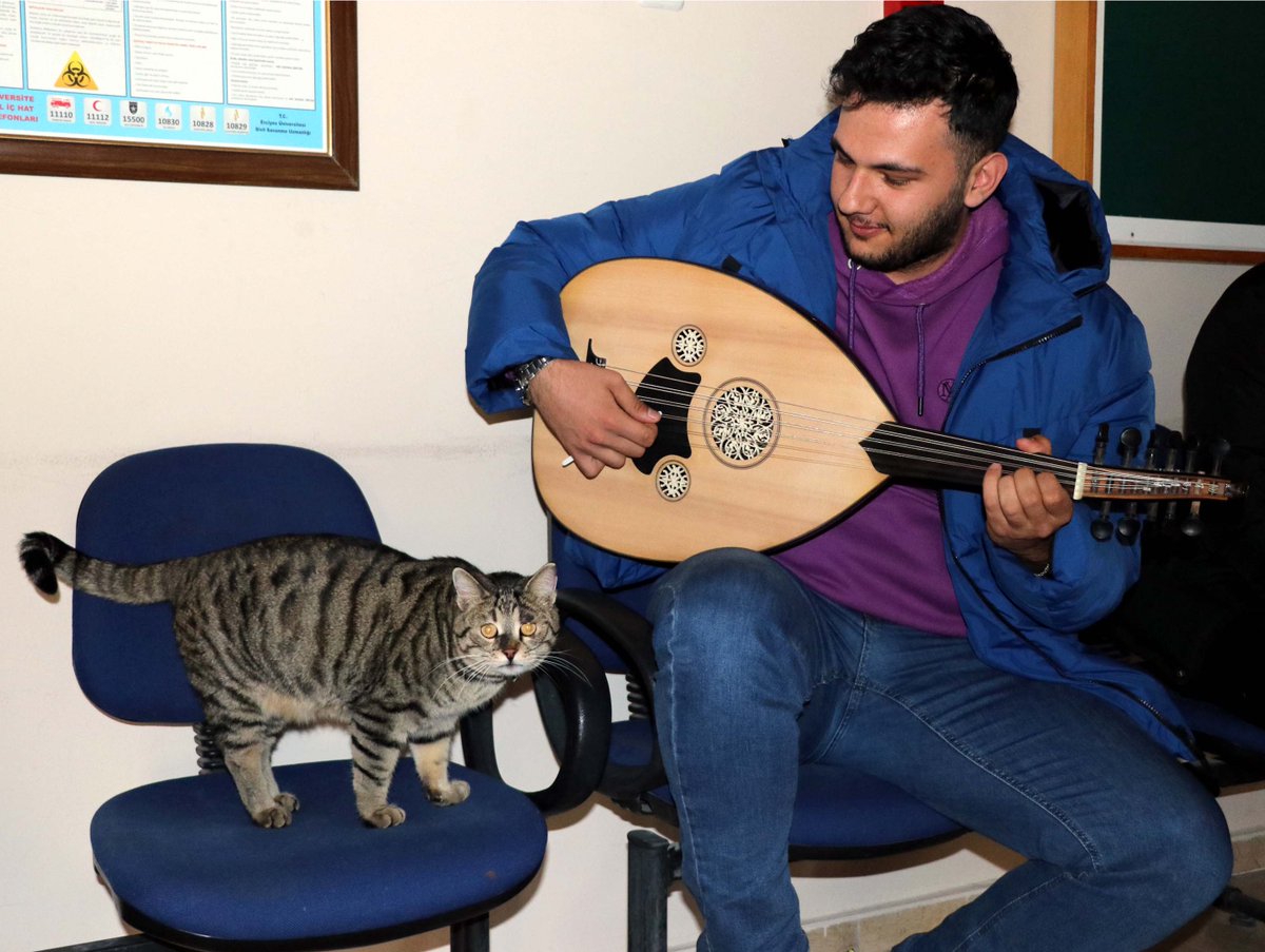 dhainternet's tweet photo. 4 yıl önce yaralı bulunan Tigyy, fakültenin maskotu oldu
https://t.co/pRPw2ZDqJp https://t.co/VgXZ2hi7HH