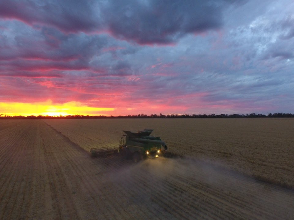 RonanHarrison6's tweet photo. #harvest22 #Australia https://t.co/ns61zn8GwD