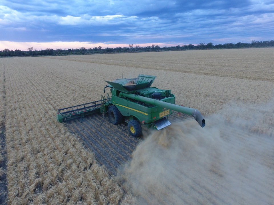 RonanHarrison6's tweet photo. #harvest22 #Australia https://t.co/ns61zn8GwD