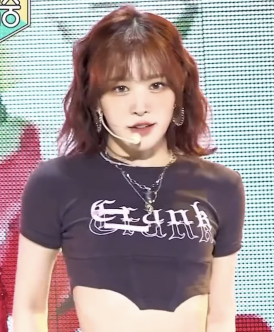 havefun_w's tweet photo. 뭐임 오늘 음방에 웬디 대신 초코푸들이 나가서 무대함 https://t.co/K1znwJEc2e