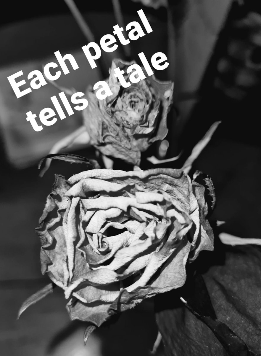 MeAtFifty's tweet image. That pain of loss deep down in the pit of your gut is difficult to move 🙏
💔 pain. Outside is flesh inside is glass all shattered with bits of pain all over 😭 @TheMindsculpter @lucario_kitty #Loss #Grief