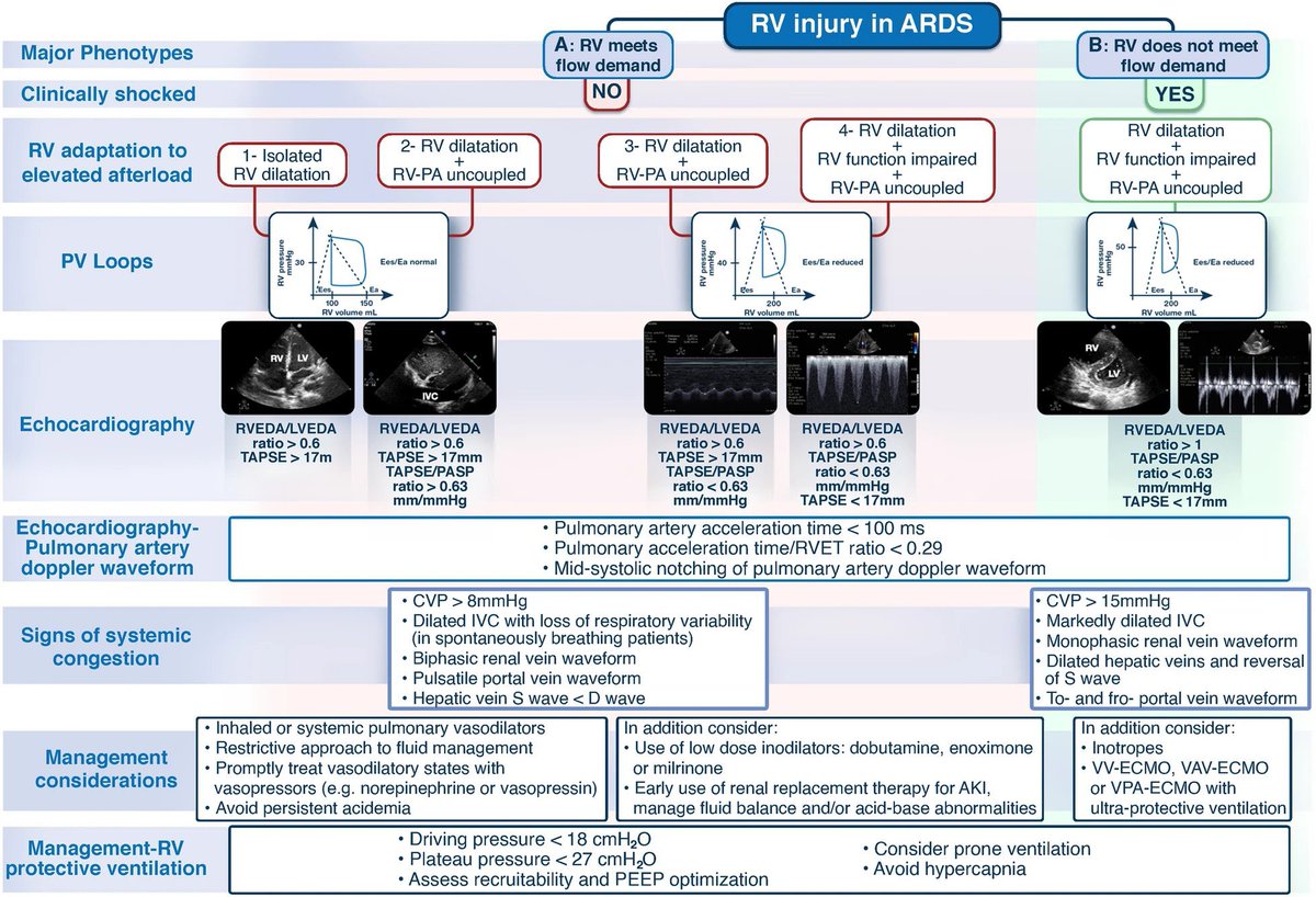 Proposed RV injury major phenotypes based on RV biomechanics as assessed by clinical examination, RV P-V relationship at different loading conditions, and #echofirst #POCUS #ThePeoplesVentricle #FOAMcc #EMCCM #MedEd #FOAMed 🔗 link.springer.com/article/10.100…