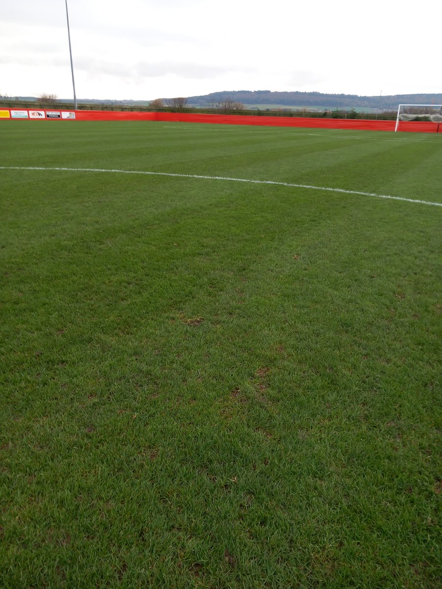 Andrew McElvaney tweet media