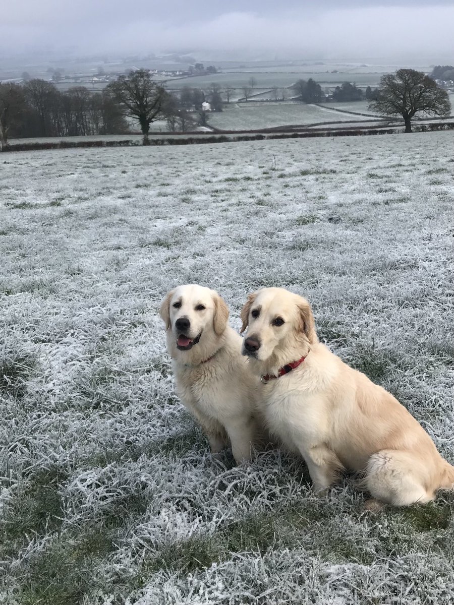 Me: look girls, that’s our house way way way down there. 

Girls: hahaha, so that’s why there’s so much huffing &amp; puffing ….🤣

#unfit