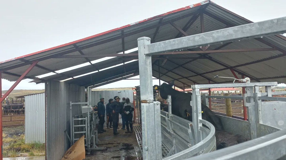 🟢 Sigue la gira de estudiantes de Nueva Zelanda <a href="/MasseyUni/">Massey University</a>. El jueves visitaron la Estancia Cerro Guido y la Fundación Cerro Guido.