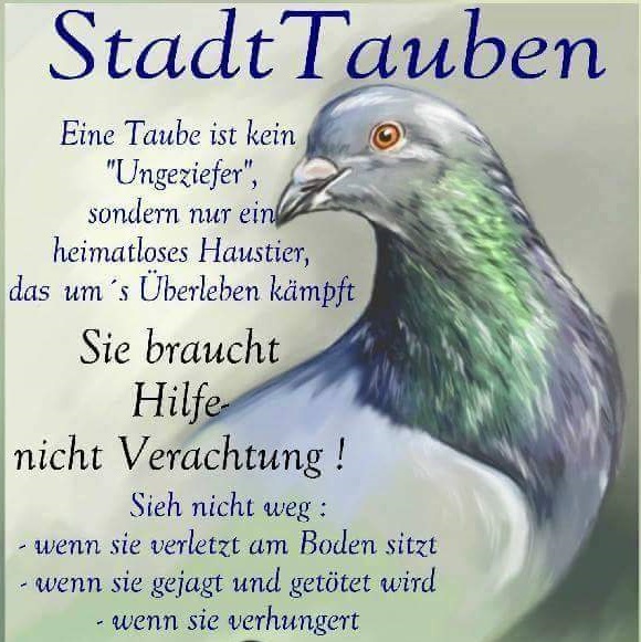 <a href="/tierschutz_bund/">Tierschutzbund</a>