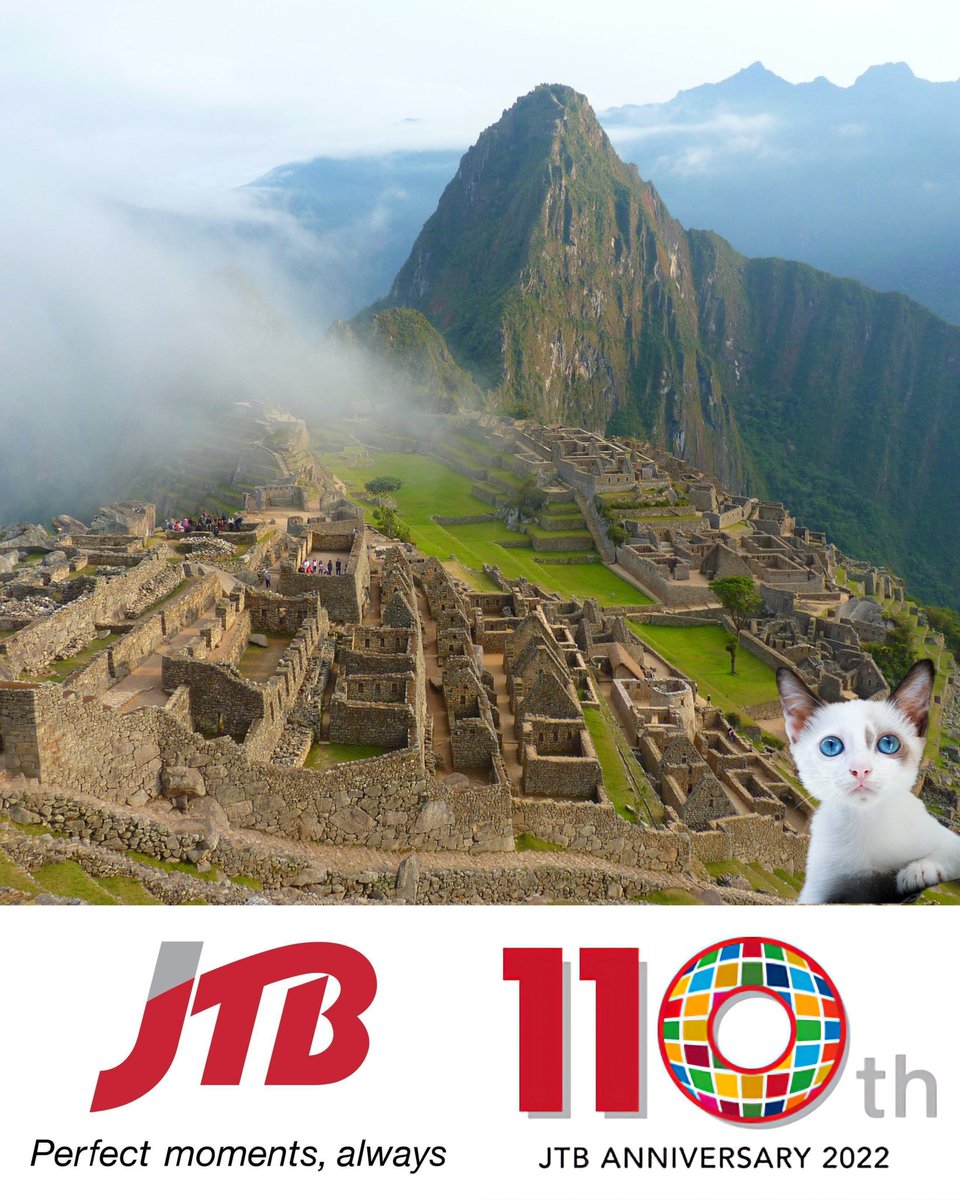 JTBUSA_Honolulu's tweet photo. #Caturday at Machu Picchu - join JTB USA Honolulu there this summer! 🤙
Peru Flight of the Condor Tour
Aug 11 ~ 23, 2023
👉 Escorted from Honolulu
https://t.co/MeIXFBOoV3
#peru #machupicchu #visitperu #visitmachupicchu #tour #Saturday #SaturdayVibe #Saturdaymotivation https://t.co/ERaYKPQUBT