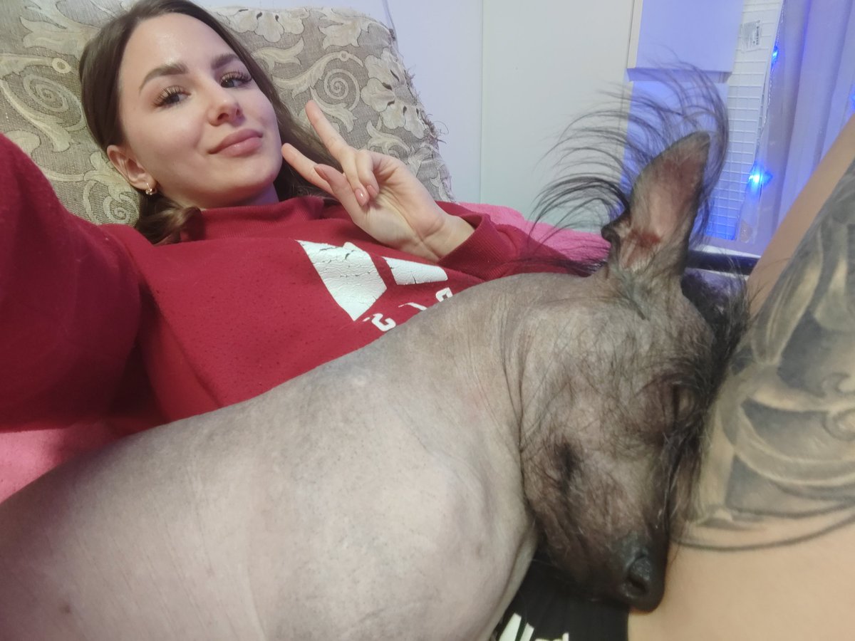 Artinessa_i's tweet photo. Everything went well for Shleby🐶. 
he feels great . thank you all🫶🥹. 
Аnd of course I congratulate our big family on the holiday🎉🎉🎉 
our FIRST BIRTHDAY 🎀😘 
love you fam ❤️❤️❤️❤️❤️❤️
@22Collab 
#22collab #shlomova #nftfam #nftfamily #collab https://t.co/92GTMdtSTk