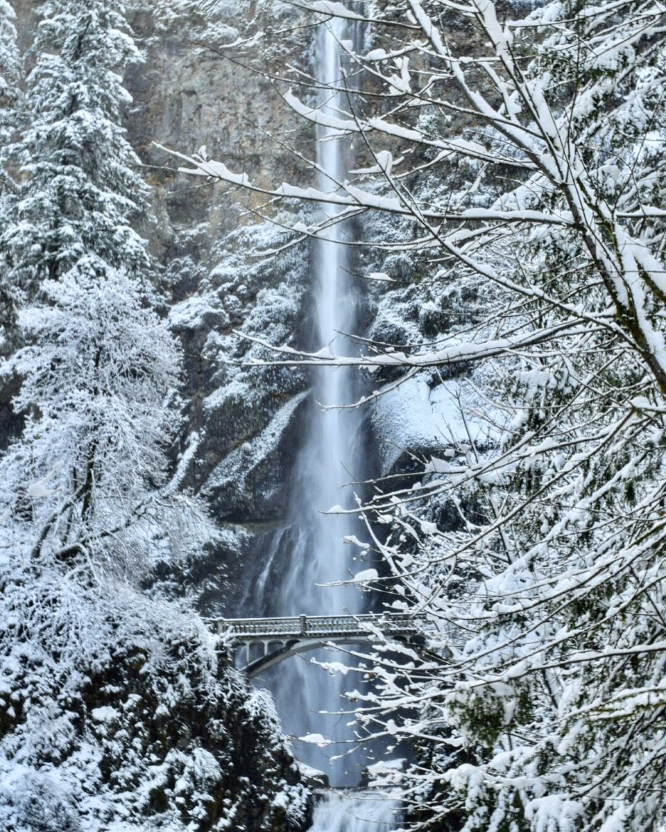 Good morning everyone.
May your day be blessed
With kindness
Spread some cheer
Meet the day with open arms
Make it a GREAT day
#MultnomahFalls