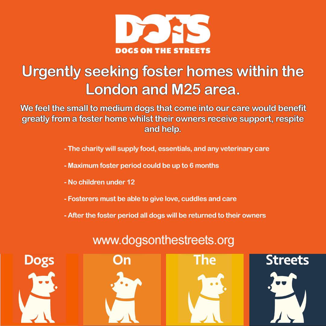 dotslondon's tweet photo. Would you have a space on your sofa or in your bed as a fosterer whilst we source a permanent home.We’ve dogs of all sizes/behaviour that needs the 1st step support in a home
DOTS will support with food/vet care. We desperately looking for 10 fosterers
foster@dogsonthestreets.org https://t.co/IZZvIi7nBV
