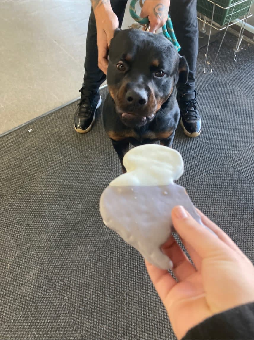 pspportagemi's tweet photo. There are always plenty of treats to go around here at Pet Supplies Plus! Just ask these lucky pups! 🍪😋🐾💚 #PSPPortageMI https://t.co/WiphEStZ1a