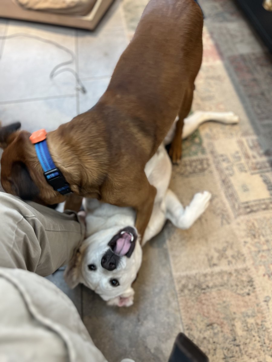 I am extraordinarily well-rested.