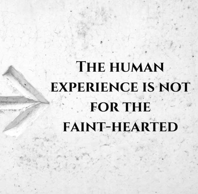 Gabino_Iglesias's tweet image. Good morning, lovely creatures. Here’s your InspiroBot goodness for today.