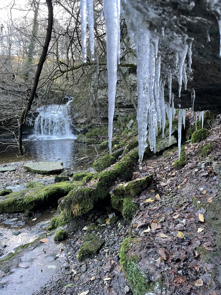 SeanDevStevens's tweet photo. Winter Waterfall ❄️ https://t.co/42r7anGdSw