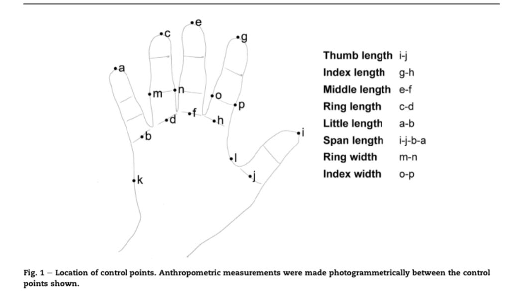 David Naumann tweet media