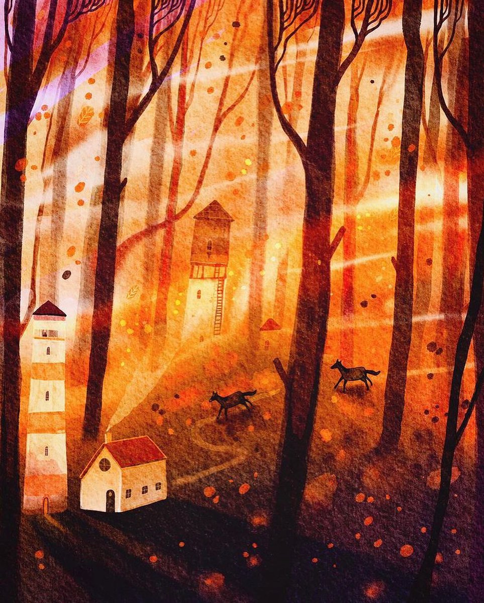 Francisco Fonseca tweet media