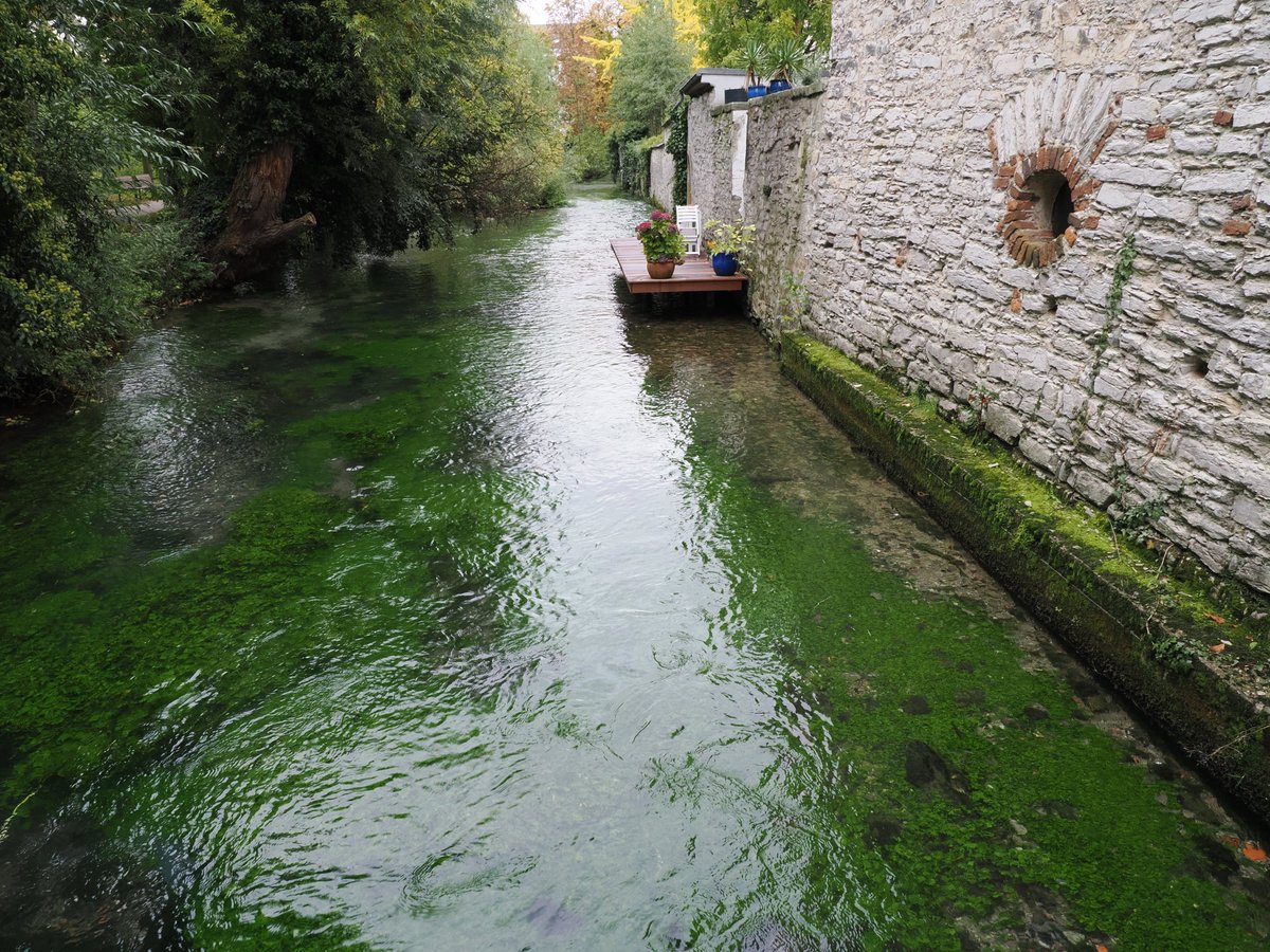 abchichi's tweet photo. kizuki_kawaguchi
パダボーン（Paderborn, Germany）

湧水が豊かな北ドイツの地方都市です。

#ドイツ #パダボーン #湧水 #germany #paderborn #water #NRW https://t.co/mgAHTXogUu