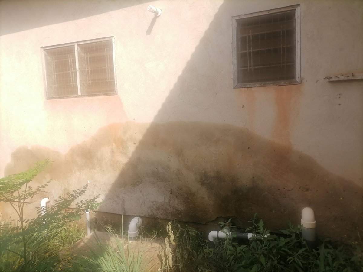 _Tim__lee_'s tweet photo. You advice people say make them waterproof demma washrooms before tiling aa them figa you only dey search job.... But ah well, imagine what go dey happen when he decides to paint 💀💀💀💀 let us pretreat the washroom if you no tile am else you go pay more in the future. https://t.co/aF6GUMCLls