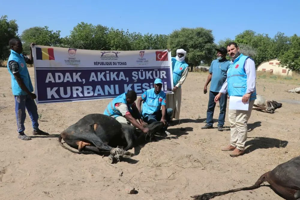 DiyanetVakfi's tweet photo. Ülkemizin Çad Encemine Büyükelçisi Kemal Kaygısız, Din Hizmetleri Müşaviri Dr. Murat Kalıç ve bölgedeki görevlilerle başkent Encemine’ye bağlı Koundoul’daki sel mağduru ailelere milletimizin bağışladığı adak, akika ve şükür kurbanlarının etlerini ulaştırdık. 

#YolunİyilikOlsun https://t.co/xAoGIUbyOG