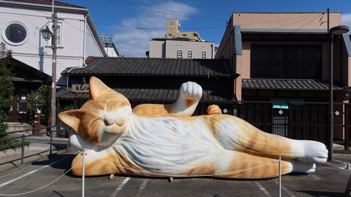 abchichi's tweet photo. 招き猫（A beckoning cat, Seto City, Aichi）

せとものの町瀬戸市です。

#瀬戸市 #招き猫 #まねきねこ #setoshi #manekineko #beckoningcat #manekinekpomuseum https://t.co/G8wJogarxQ