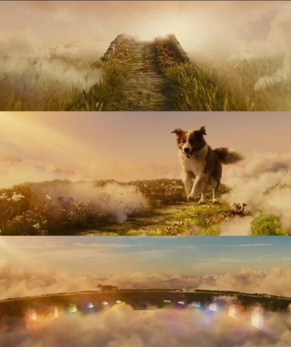 <a href="/moonriver365/">문재인</a> 마루야 
무지개다리🌈 건너는 동안 
급할것 없이 
빨강🔴 주황🟠 노랑🟡 초록🟢 
파랑🔵 남🔵+🟣 보라🟣 주는 
향기 마음껏 맡고, 
원하는 만큼 뒹굴다 가렴

아버지💙어머니💙  
든든하게 지켜주고,
수 많은 집사들의 마음을
사랑스러움으로 따뜻하게 해주고
위로가 되어주어서
고마웠어^^ 
안녕❤️