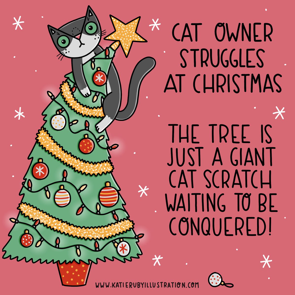 KatieRubyMiller's tweet image. A #caturday at #christmas
