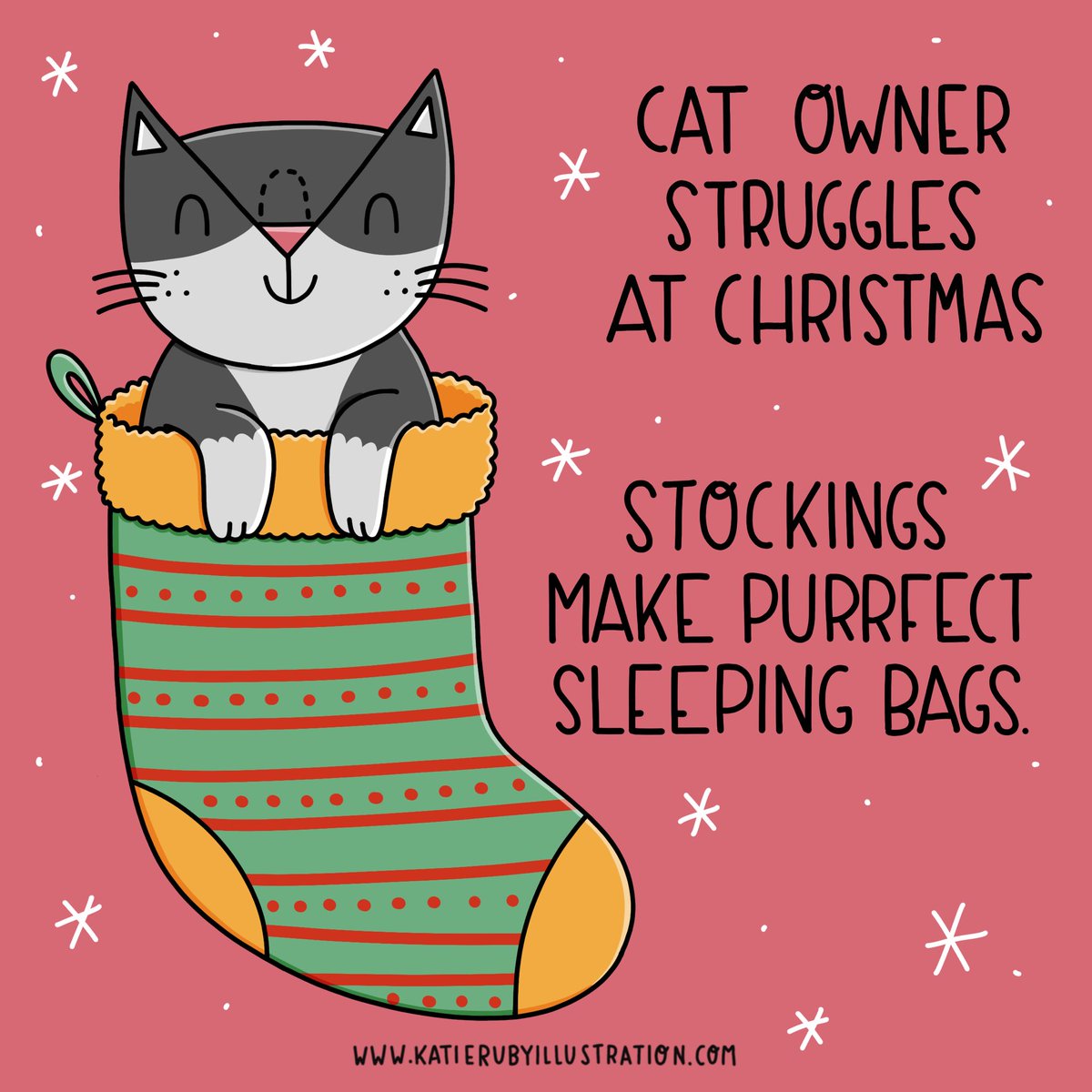 KatieRubyMiller's tweet image. A #caturday at #christmas