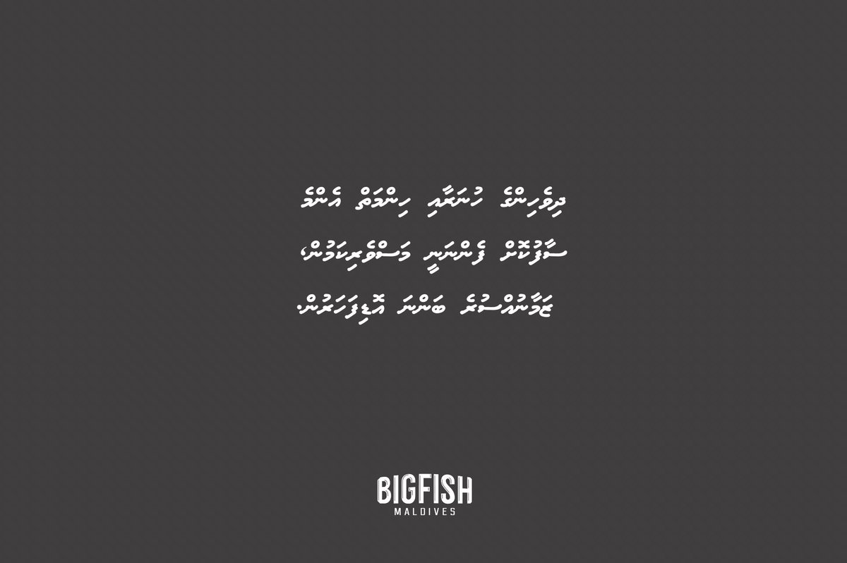 BigfishMV's tweet photo. މަސްވެރިންގެ ދުވަހުގެ ތަހުނިޔާ އެންމެހާ ދިވެހި މަސްވެެރިންނަށް އަރިސް ކުރަން. މާތްاللهގެ އިރާދަފުޅާއެކު ދިވެހި މަސްވެރިންގެ ކުރިމަގު އޮތީ ފަހިކޮށް. 🙂 https://t.co/E79IJthWhP