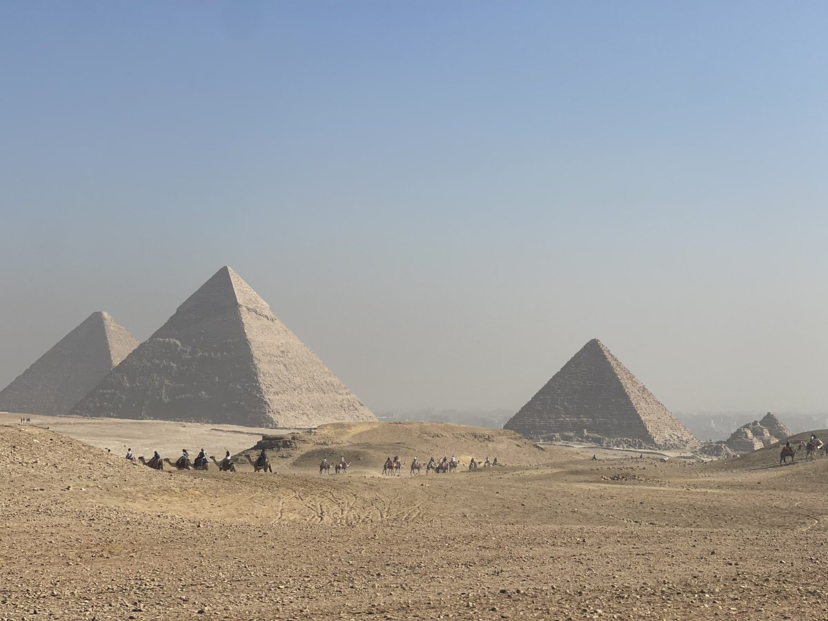 w_a_wahab's tweet photo. Run, Forrest, Run….
#PyramidsHalfMarathon #racethroughhistory https://t.co/H83tLfgDbS