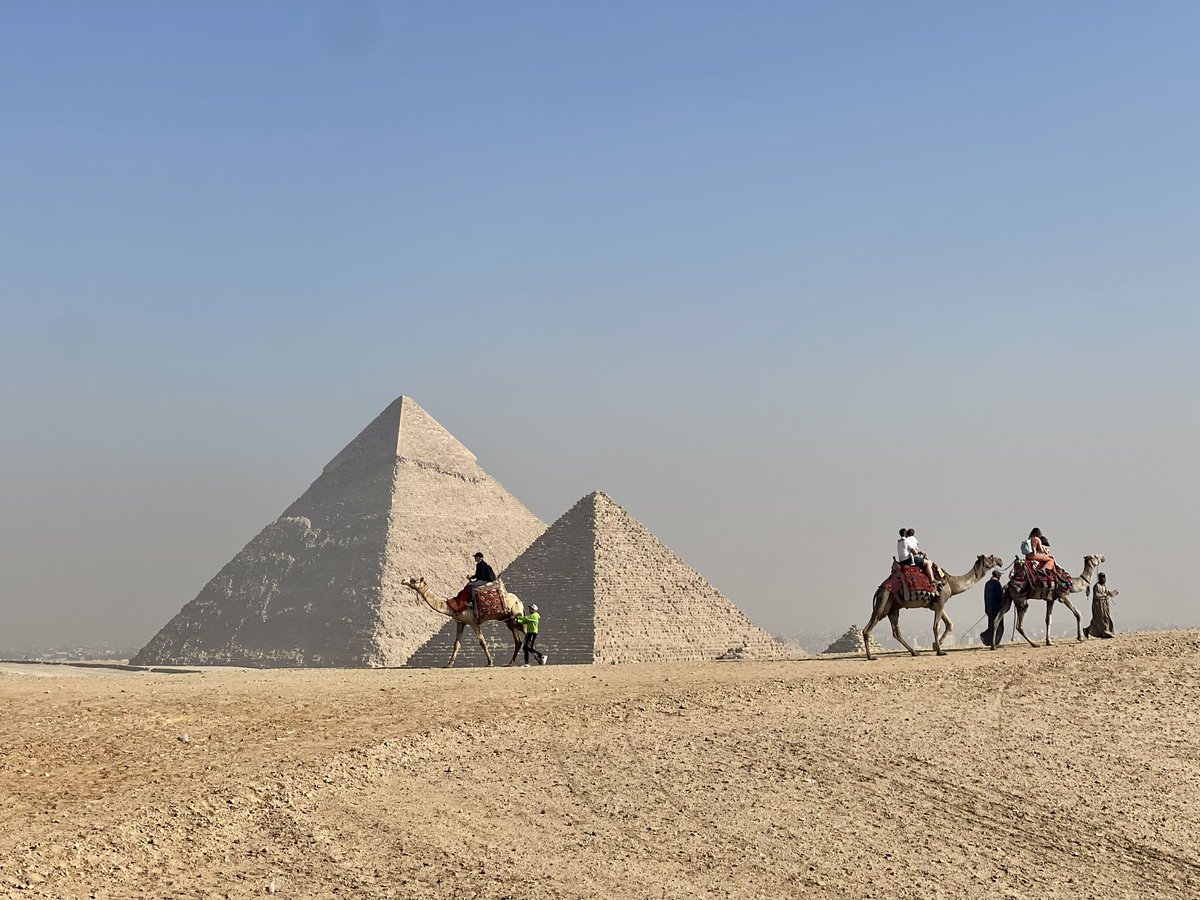 w_a_wahab's tweet photo. Run, Forrest, Run….
#PyramidsHalfMarathon #racethroughhistory https://t.co/H83tLfgDbS