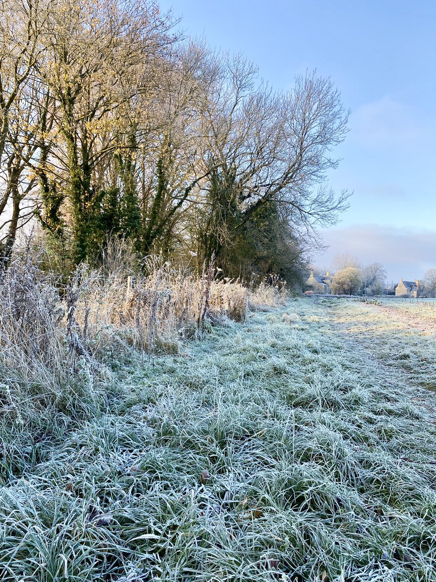 Pollardg80's tweet photo. No football training with @fc_stratton this morning due to the conditions, but lovely to wrap up for a good dog walk instead 🥶 https://t.co/0yQDMhbTbD