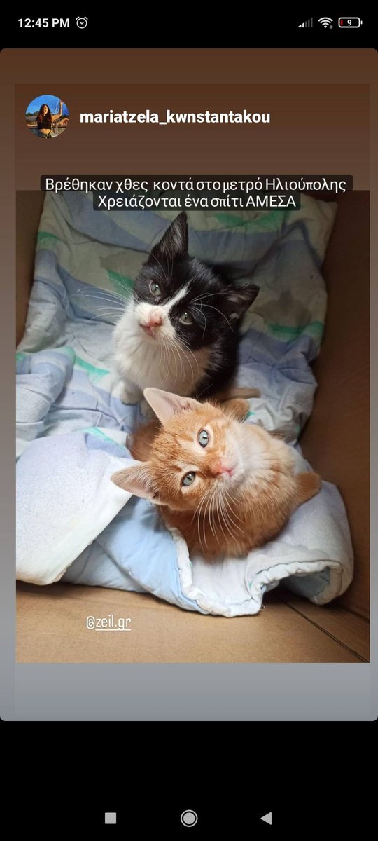 Kate99_'s tweet image. Πληροφορίες στο τηλ 6981070581
Κοινοποιήστε!!! 🥺🥺🥺🥺